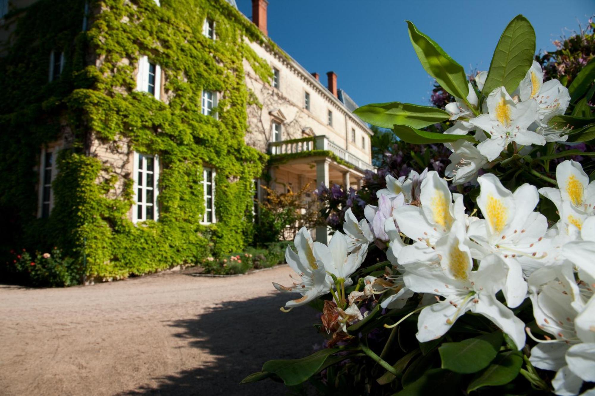 Chateau De Bellevue B&B ヴィリエ・モルゴン エクステリア 写真