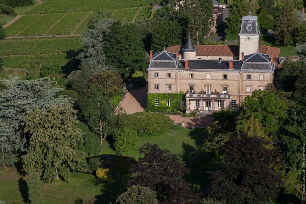 Chateau De Bellevue B&B ヴィリエ・モルゴン エクステリア 写真